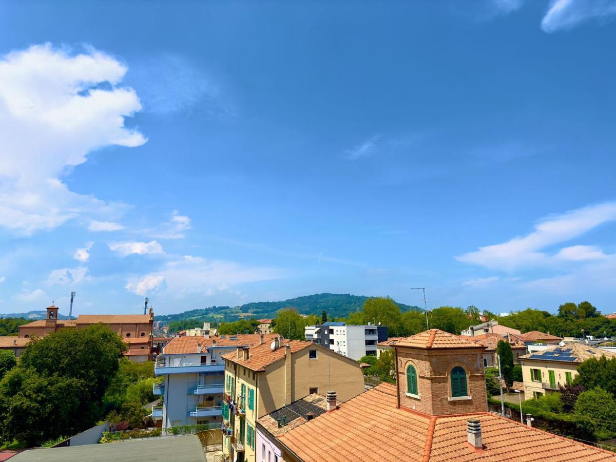 L'amaca Pesaro